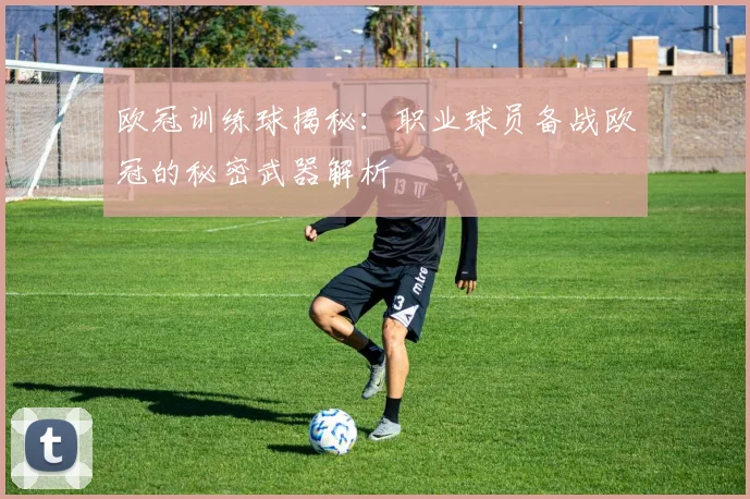 欧冠训练球揭秘：职业球员备战欧冠的秘密武器解析